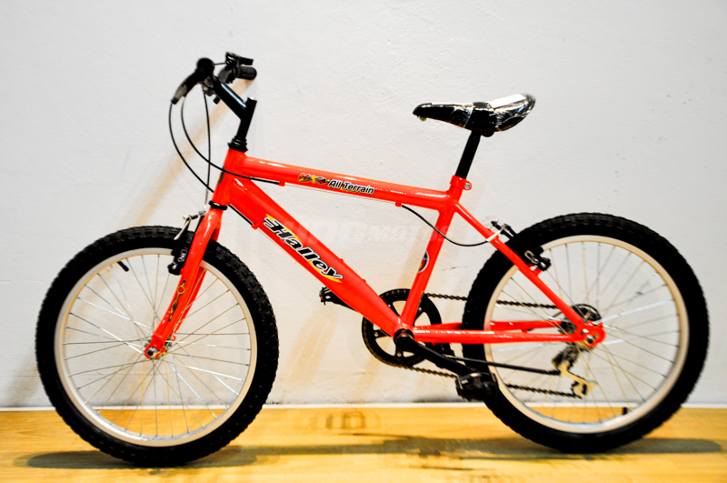 Bicicleta Halley MTB Kids Classic R20 3V kids