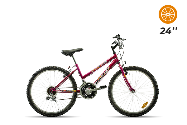 Bicicleta Halley MTB Classic R24 DAMA 18V kids (15) [M2953]