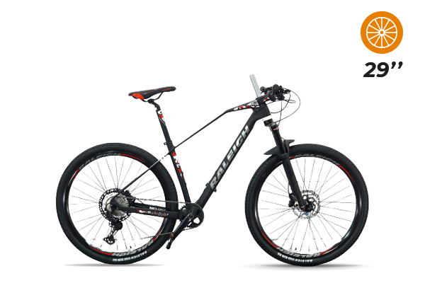 Raleigh 9.5 Carbono R29 (2) [M3243]