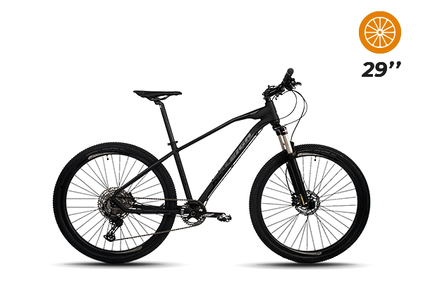 Bicicleta RALEIGH MOJAVE 5.0 MTB N.29 Linea 2022 (9) [M2915]