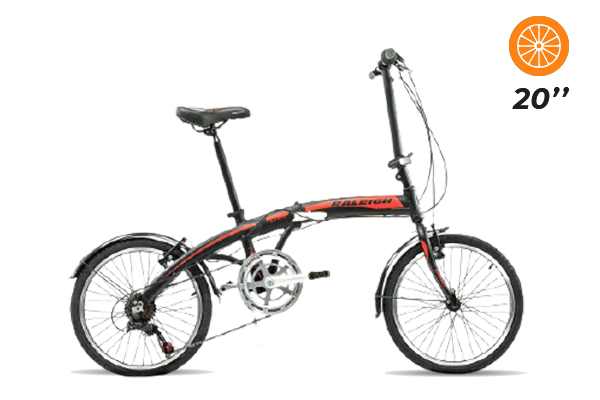 Bicicleta RALEIGH CURVE R20 PLEGABLE 6V  (19) [M2858]